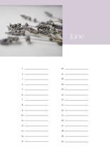 Afbeelding in Gallery-weergave laden, verjaardagskalender